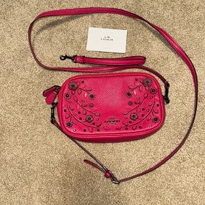 Coach bag/wristlet